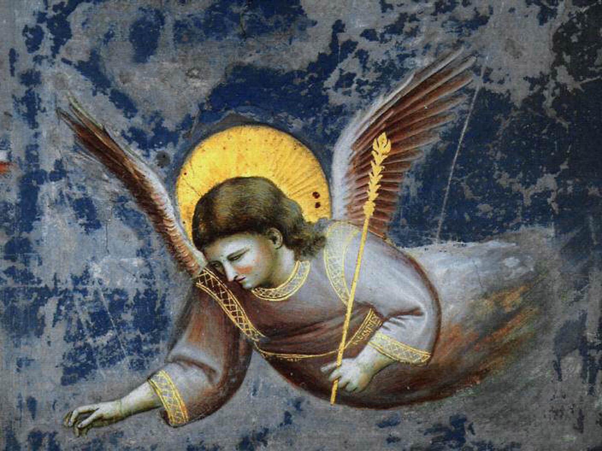 Giotto, angel (detail) from Scrovegni Arena Chapel