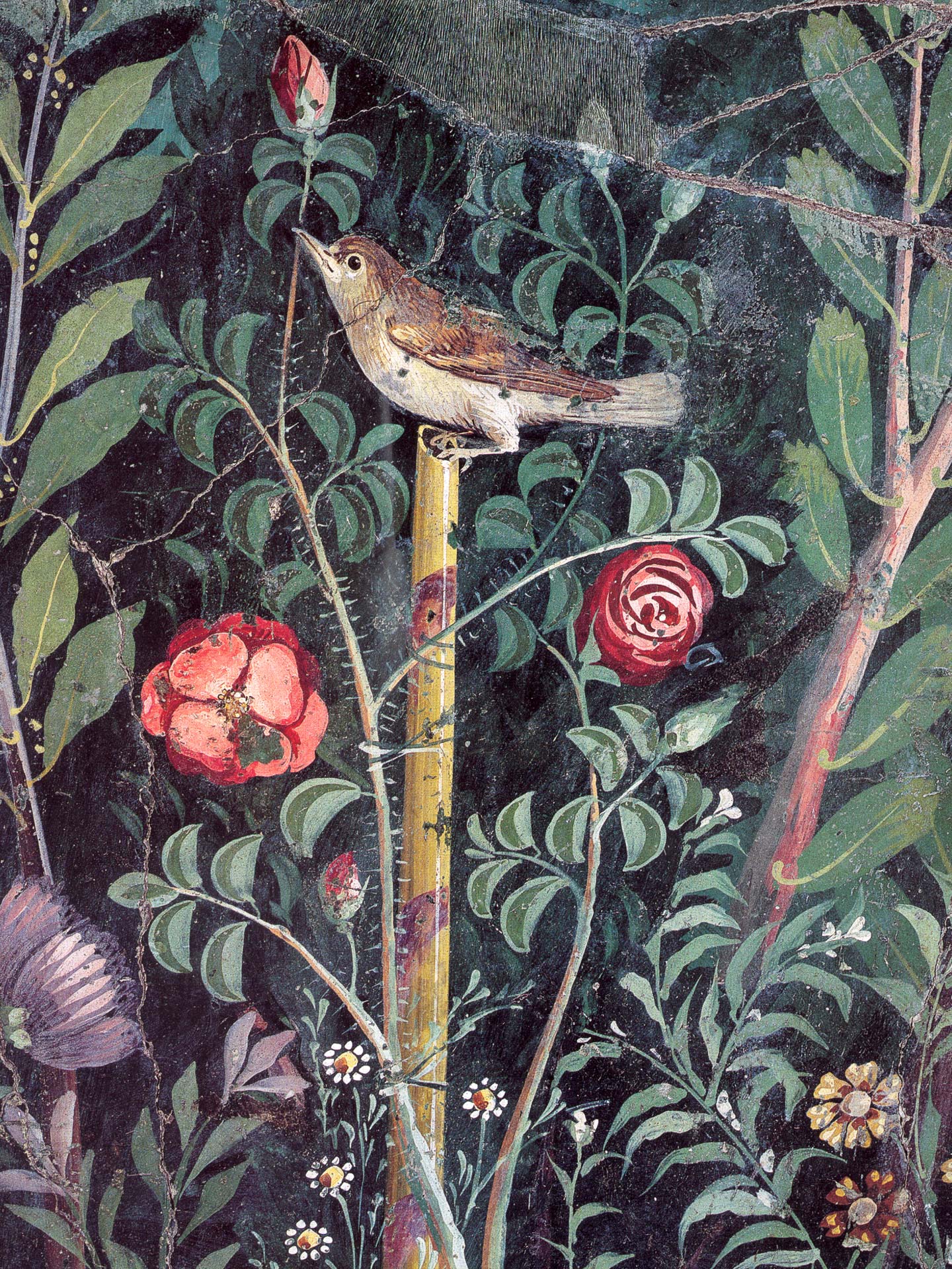 Garden from fresco of the triclinium of the House of the Golden Bracelet, Pompeii, Italy