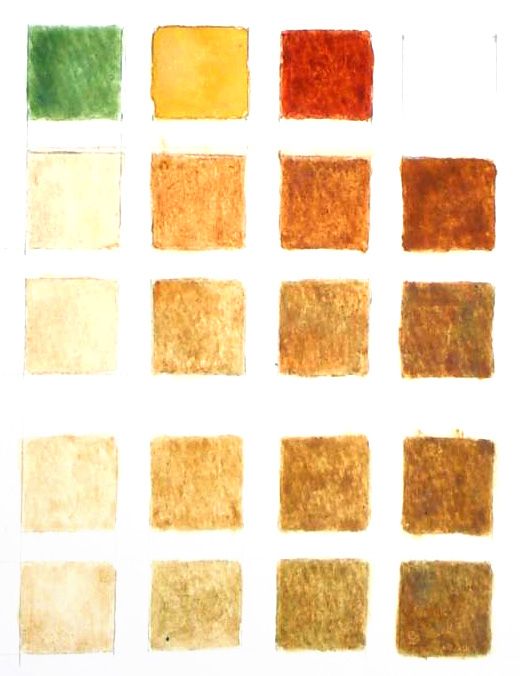 Color chart of a flesh tint continuum