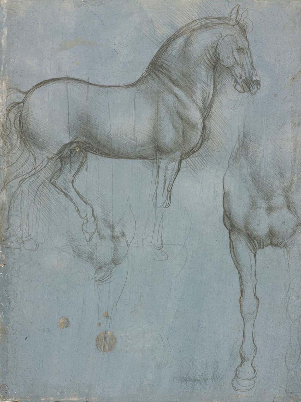 Studies of a Horse, 1488